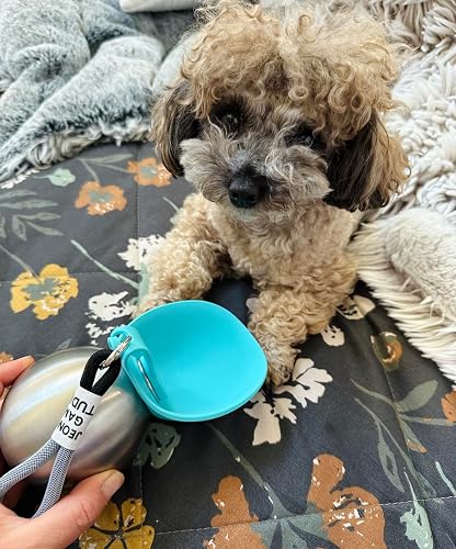 Great water and Food Bowl